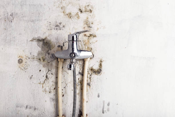Best HVAC Mold Remediation in Balcones Heights, TX