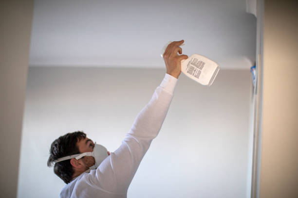 Best Mold Remediation for Schools in Balcones Heights, TX