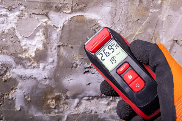 Best Residential Mold Remediation in Balcones Heights, TX