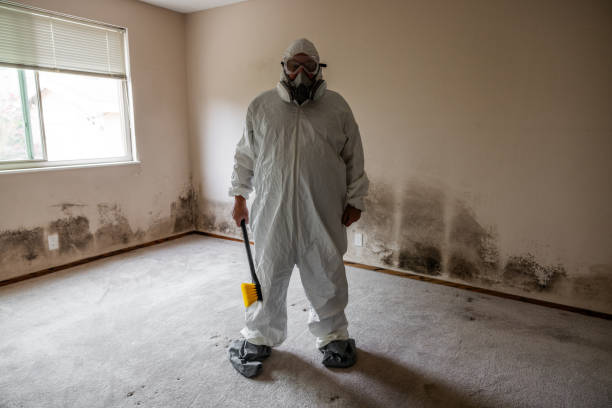 Best Crawl Space Mold Remediation in Balcones Heights, TX